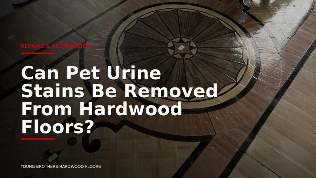 Can Pet Urine Stains Be Removed From Hardwood Floors?